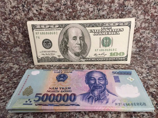 Ví nữ in hình tiền tệ