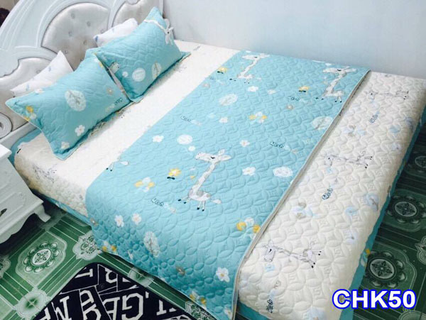 Bộ chăn ga gối cotton poly trần bông