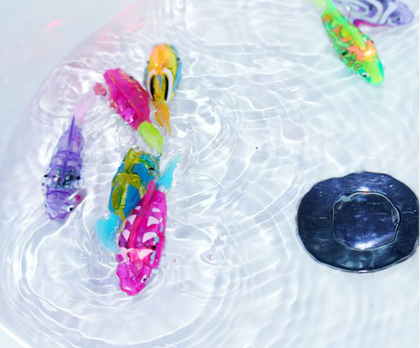 Bán buôn cá cảnh chạy pin có đèn led Robo Fish