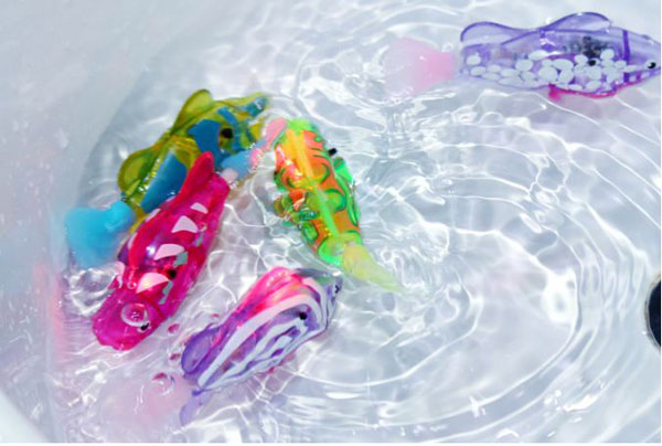 Bán sỉ cá cảnh chạy pin có đèn led Robo Fish