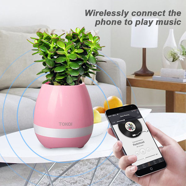 Loa bluetooth kiêm chậu trồng cây TOKQI