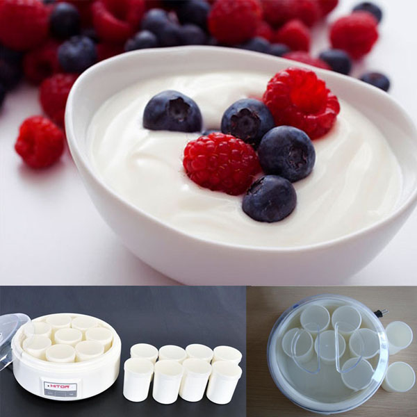 Máy làm sữa chua 16 cốc Hitops