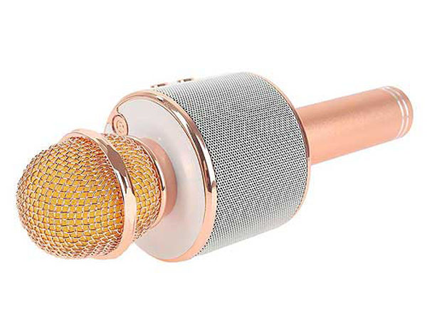 Mic karaoke kèm loa bluetooth wster ws-858