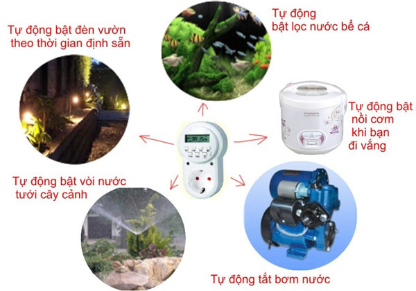 Ổ cắm hẹn giờ điện tử bật tắt tự động AL-06