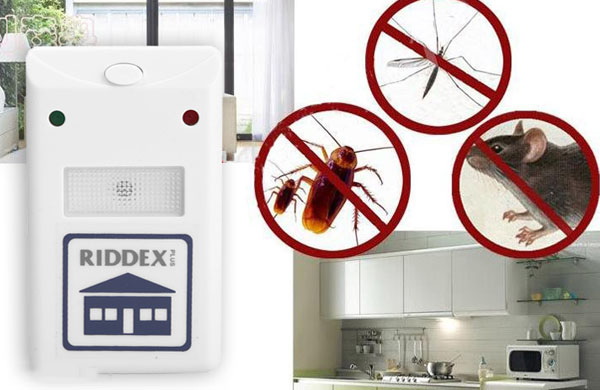 Bán buôn thiết bị đuổi côn trùng riddex
